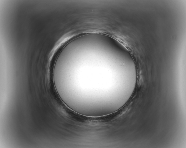 X0000086000296200704091042