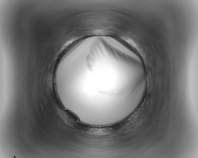 X0000086000297200704091042