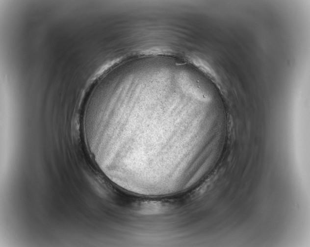 X0000086000298200704091042