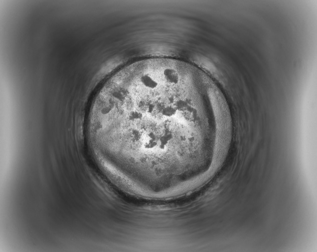 X0000086000299200704091042