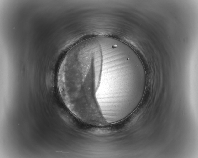 X0000086000303200704091042