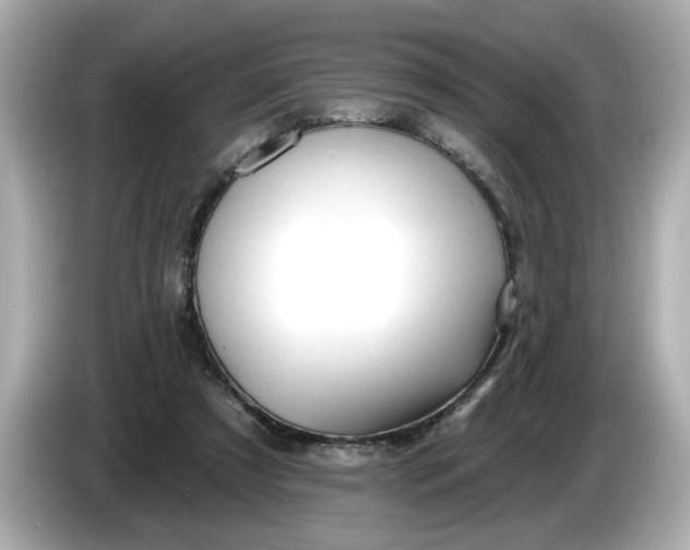 X0000086000305200704091042