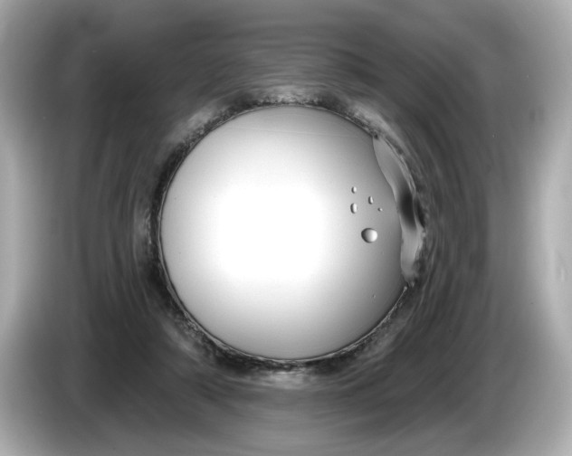 X0000086000306200704091042