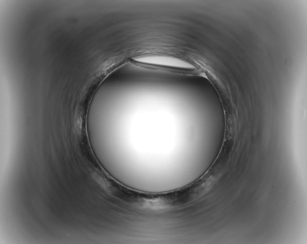 X0000086000309200704091042