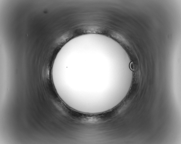 X0000086000310200704091042