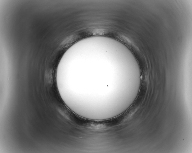 X0000086000311200704091042