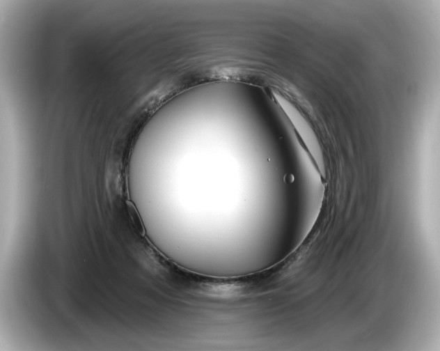 X0000086000313200704091042