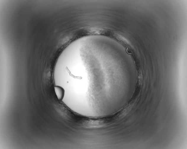 X0000086000314200704091042