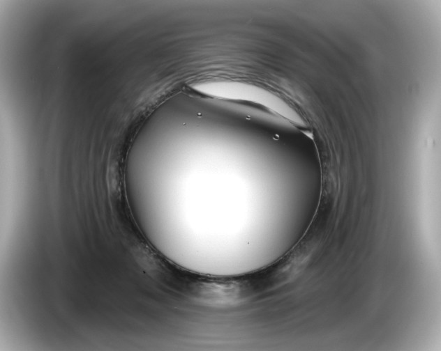 X0000086000317200704091042