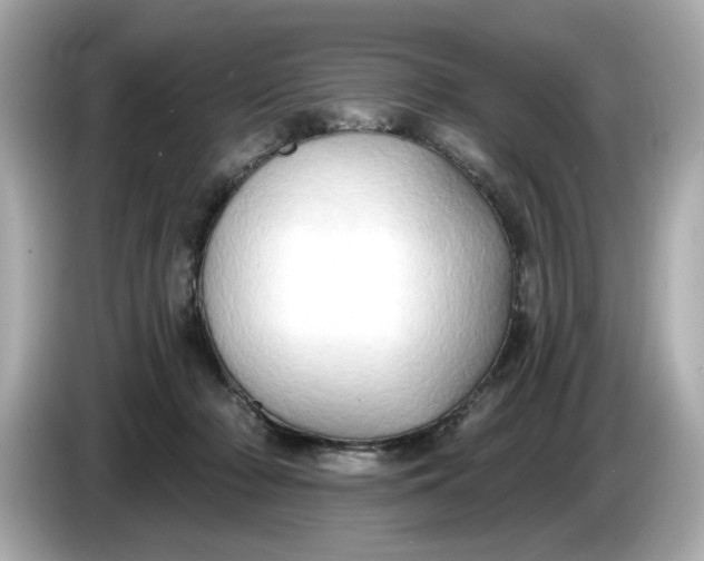 X0000086000318200704091042