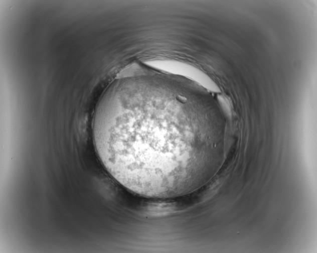 X0000086000319200704091042