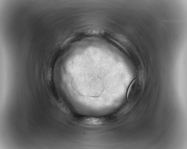 X0000086000326200704091042