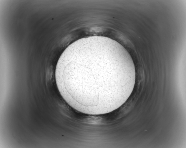 X0000086000328200704091042