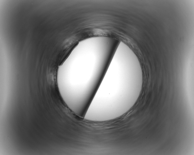 X0000086000329200704091042