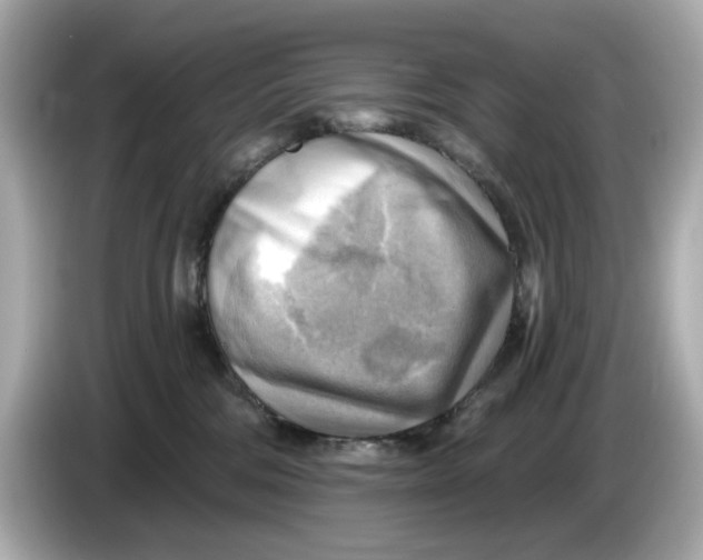 X0000086000330200704091042