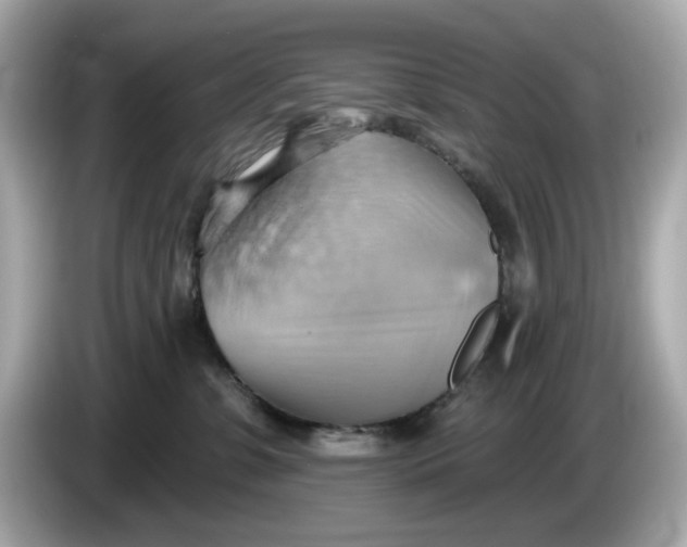 X0000086000331200704091042