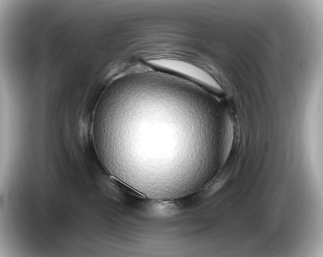 X0000086000333200704091042