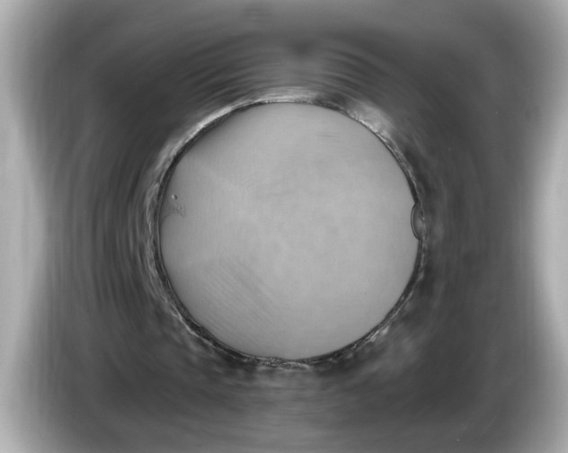 X0000086000337200704091041