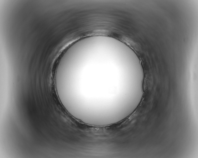 X0000086000338200704091041