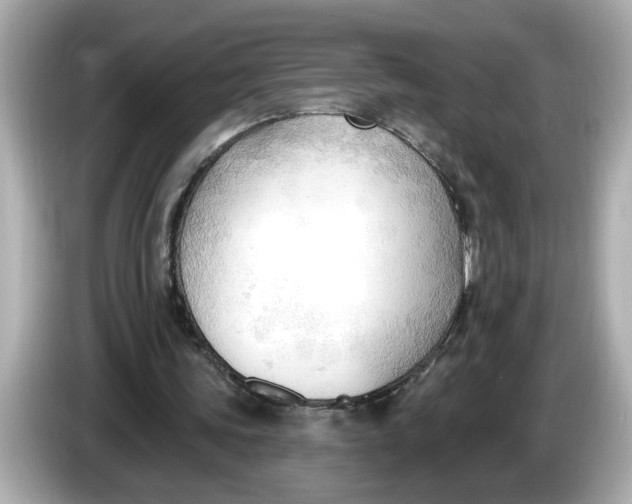 X0000086000339200704091041