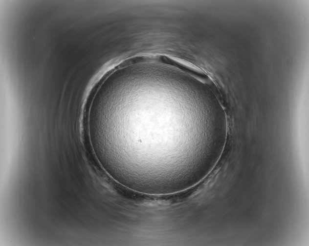 X0000086000340200704091041