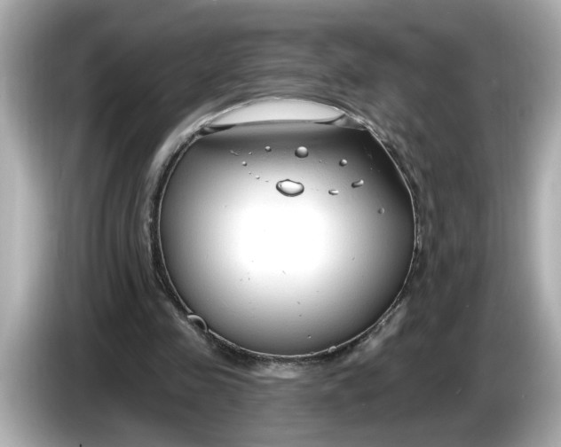 X0000086000341200704091041