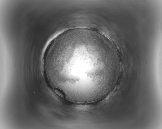 X0000086000342200704091041