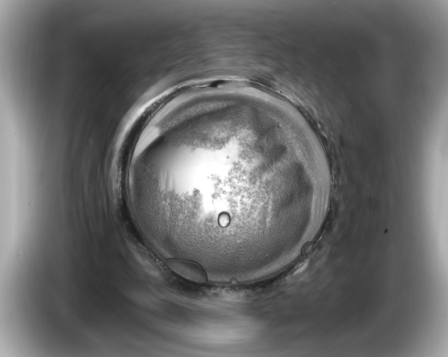 X0000086000343200704091041