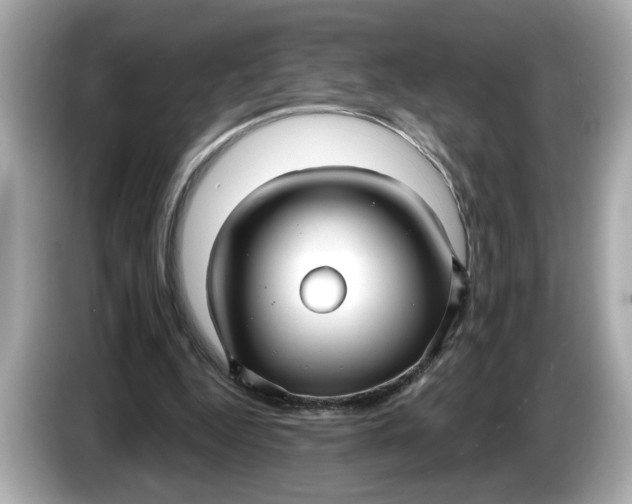 X0000086000344200704091041