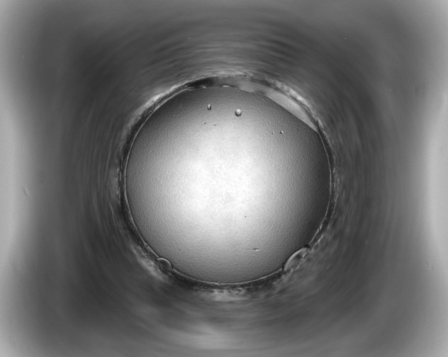 X0000086000345200704091041