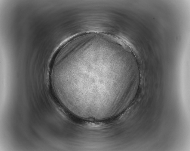 X0000086000346200704091041