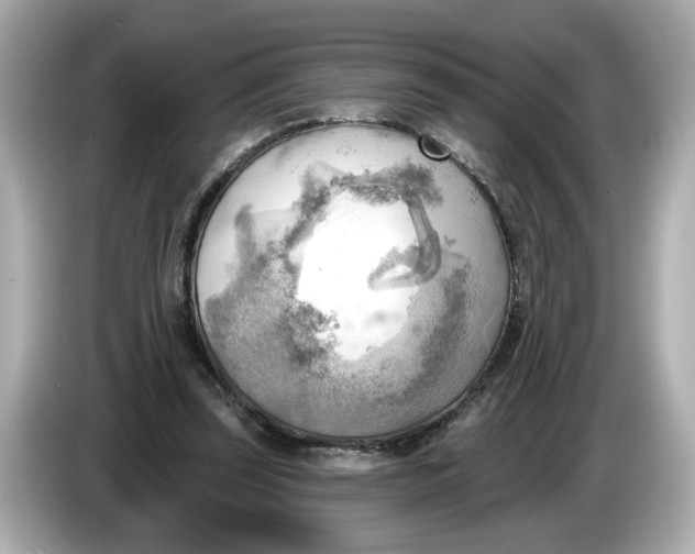 X0000086000347200704091041