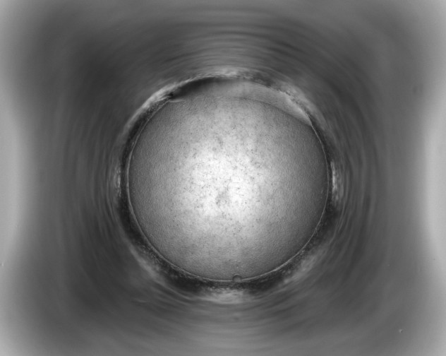 X0000086000348200704091041