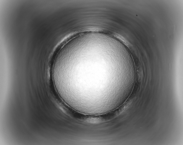 X0000086000350200704091041