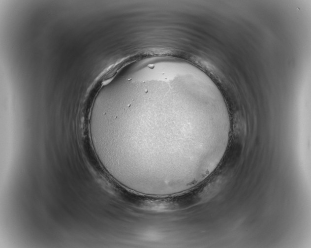 X0000086000351200704091041