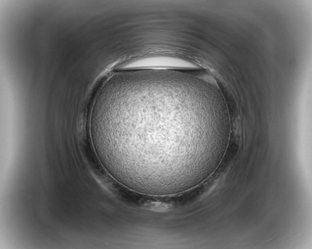 X0000086000352200704091041