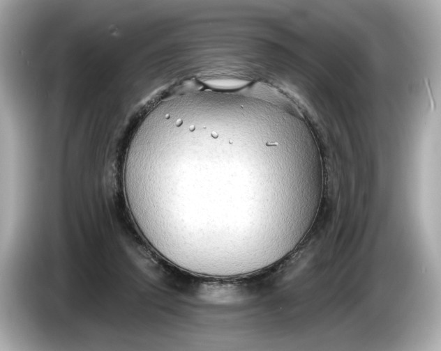 X0000086000354200704091041