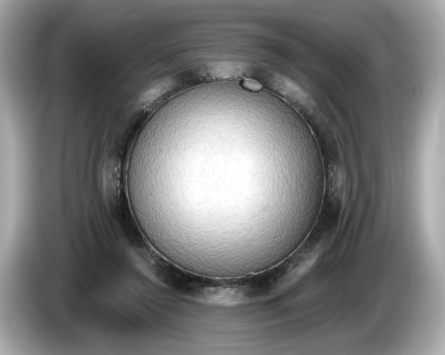 X0000086000356200704091041