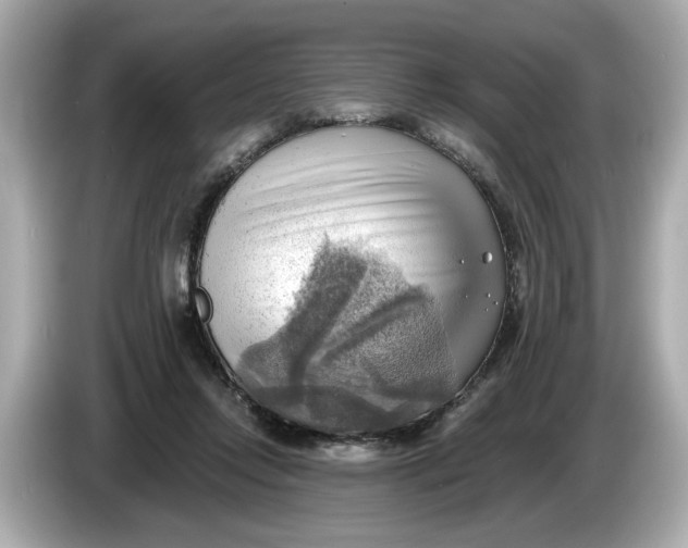 X0000086000358200704091042