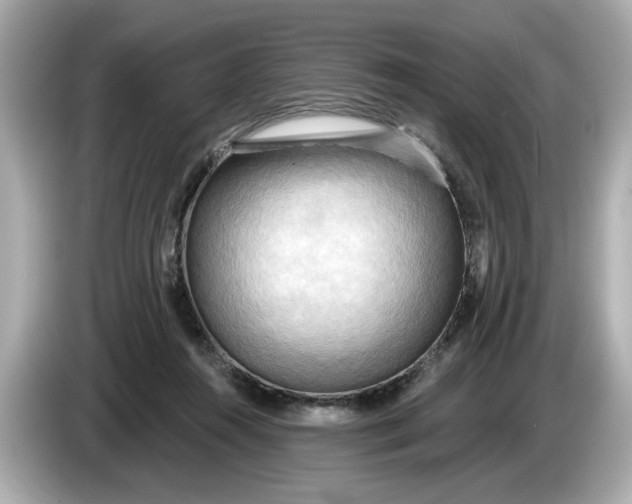 X0000086000360200704091042