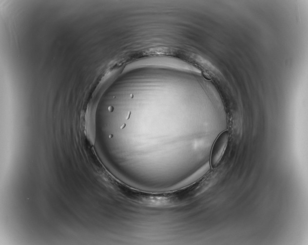 X0000086000361200704091042