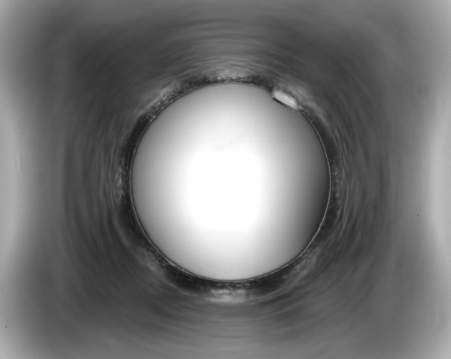 X0000086000362200704091042