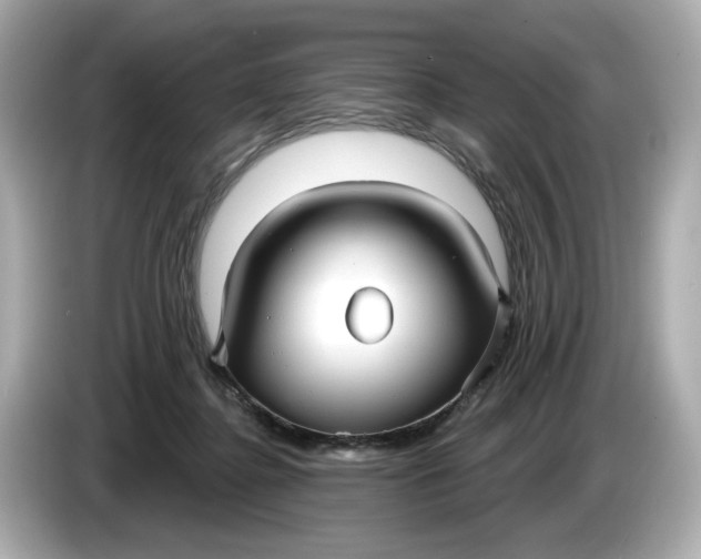 X0000086000364200704091042