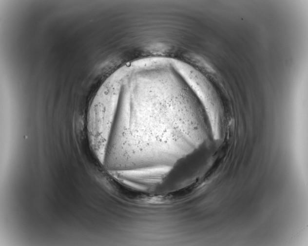 X0000086000365200704091042