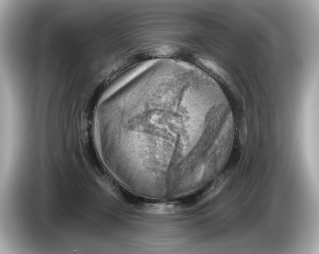 X0000086000366200704091042