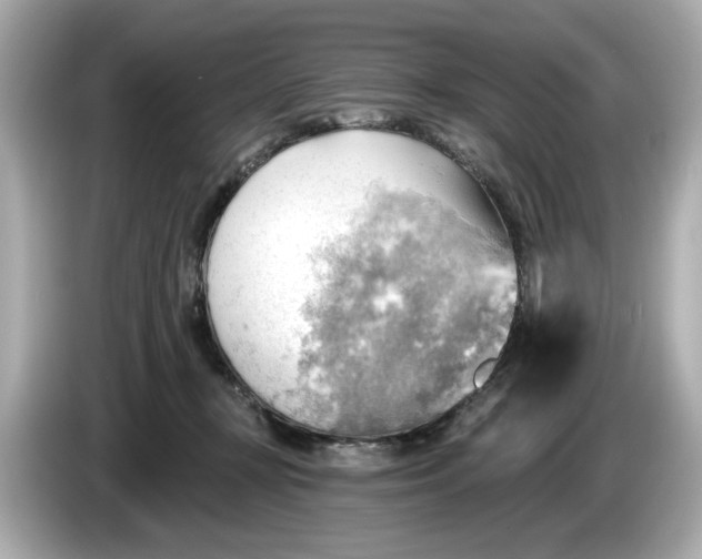 X0000086000367200704091042