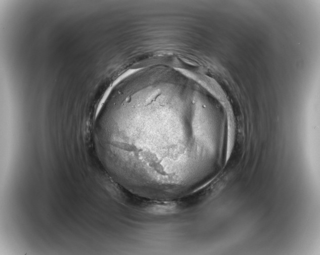 X0000086000369200704091042