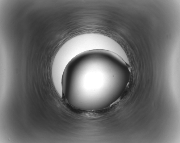 X0000086000372200704091042