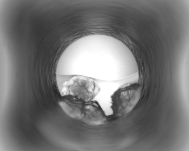 X0000086000377200704091042