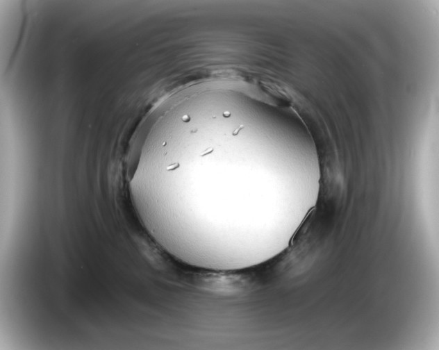 X0000086000379200704091042